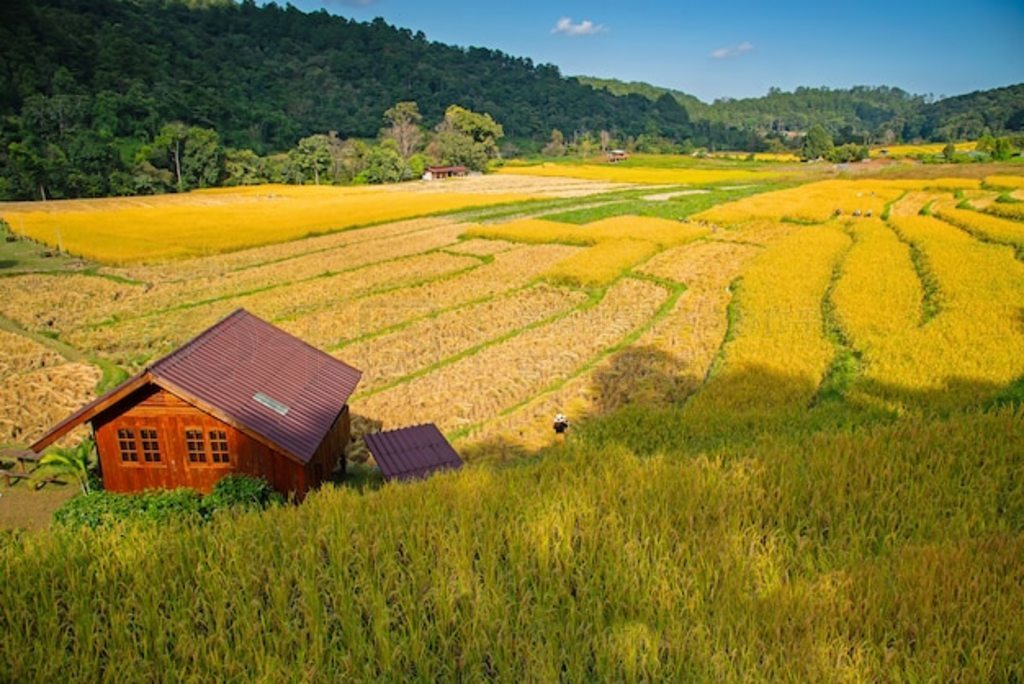 Mae Klang Luang ĵ޼̩ͥ