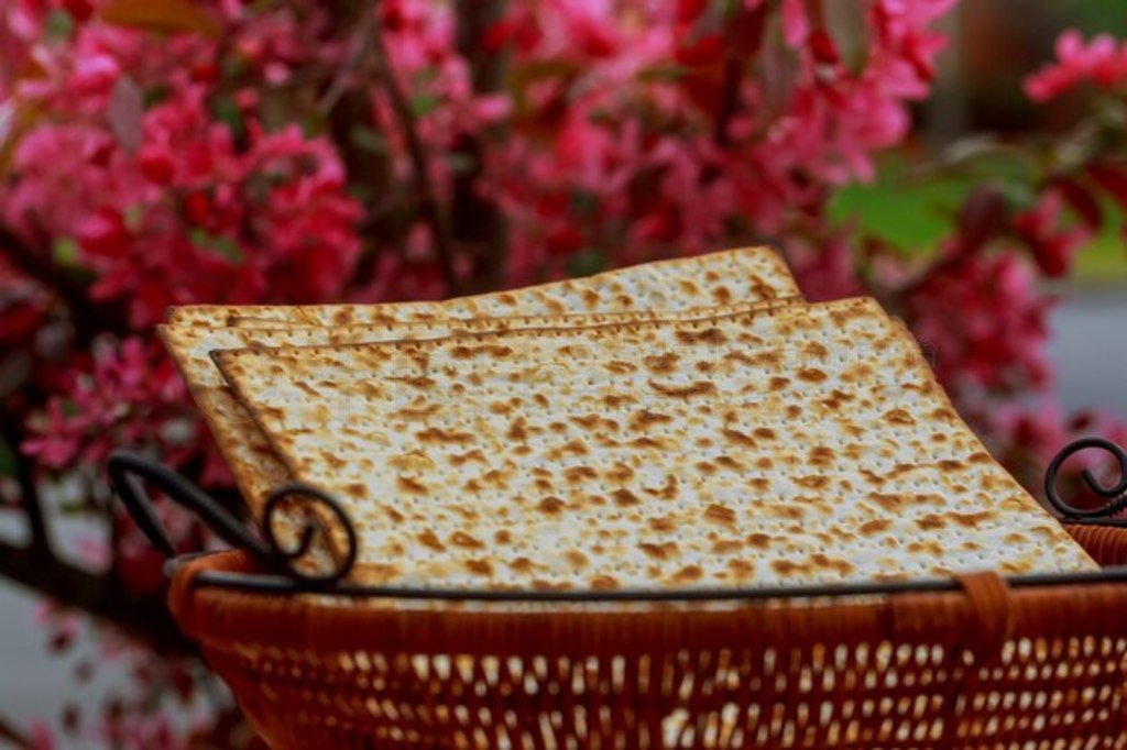 Խڱƺ matzoh ̫ľ