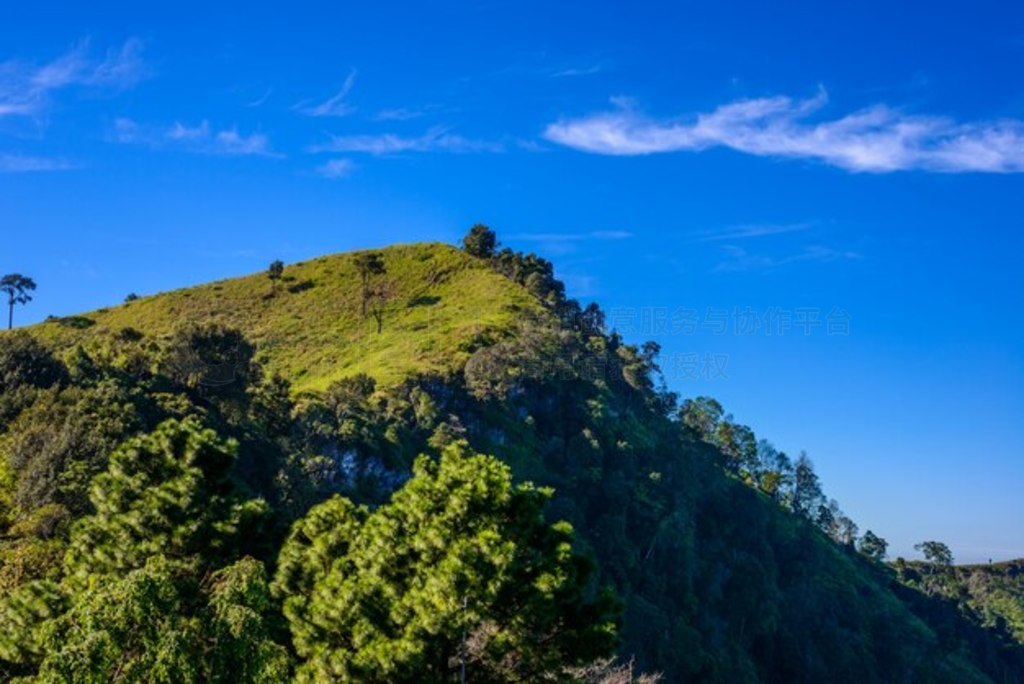 Doi Pha Tang ۵㣬̩ʡλ