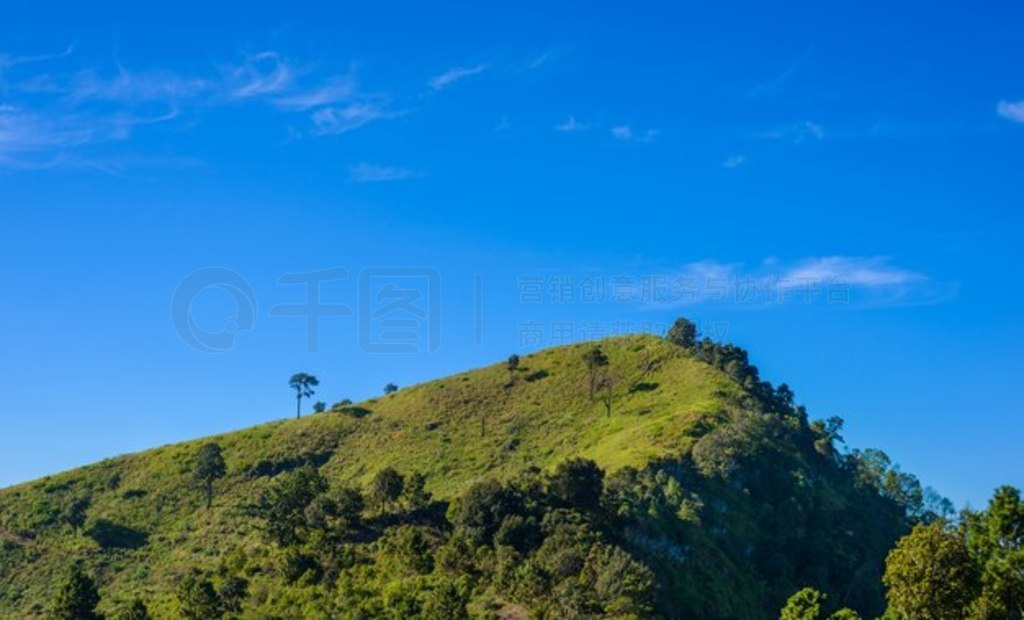 Doi Pha Tang ۵㣬̩ʡλ