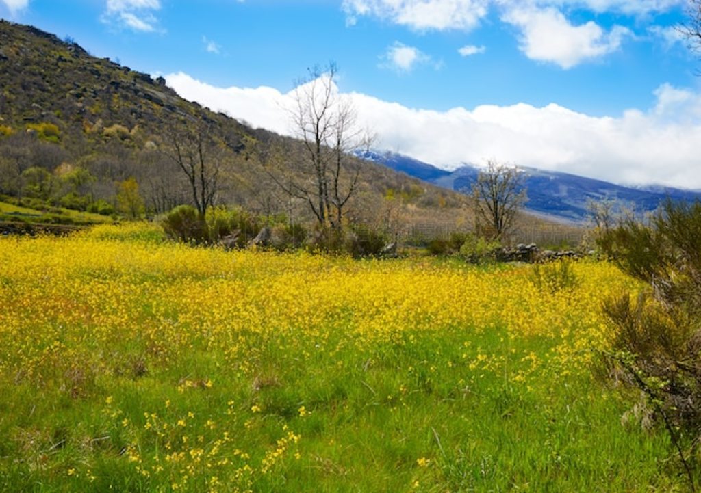 ıк (Bejar Puerto Vallejera)ͨ· (via de la Plata Way)