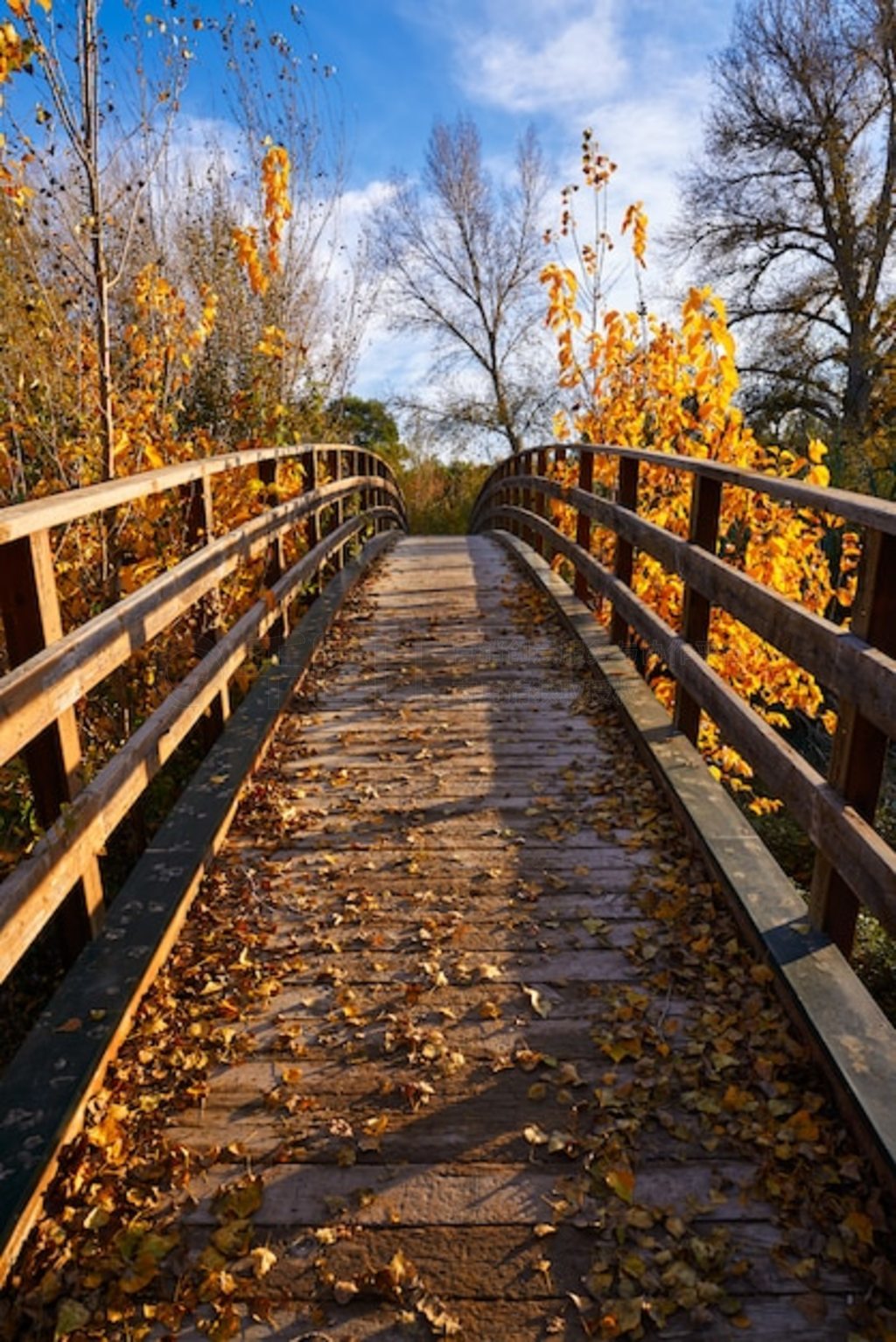 ľ Parque de Turia