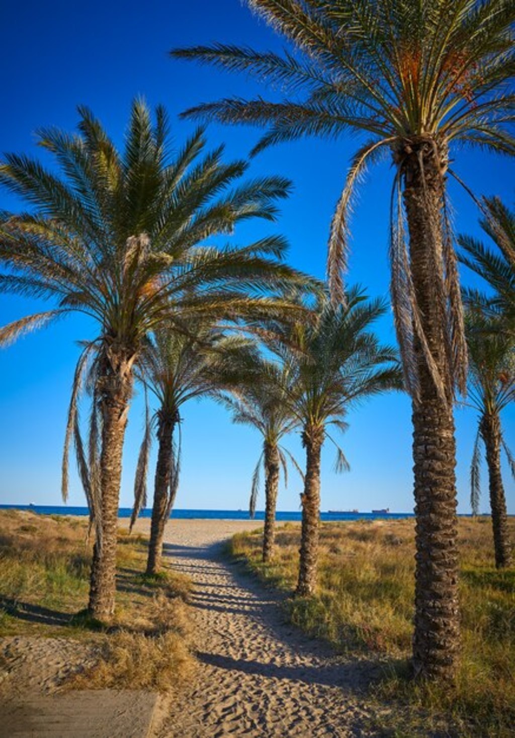 ¿˹ (Grao de Castellon) ǰƤɶ (Playa El Pinar) ̲