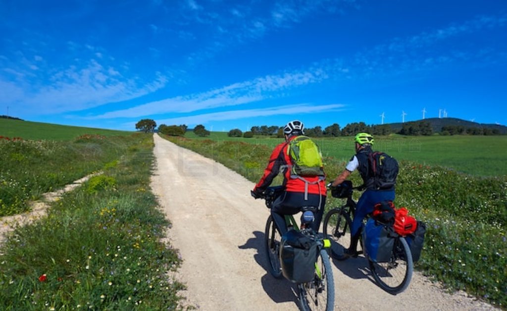 Camino de Santiago г