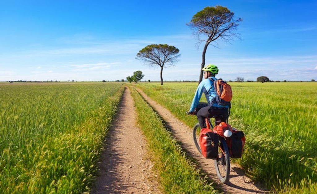 Camino de Santiago г