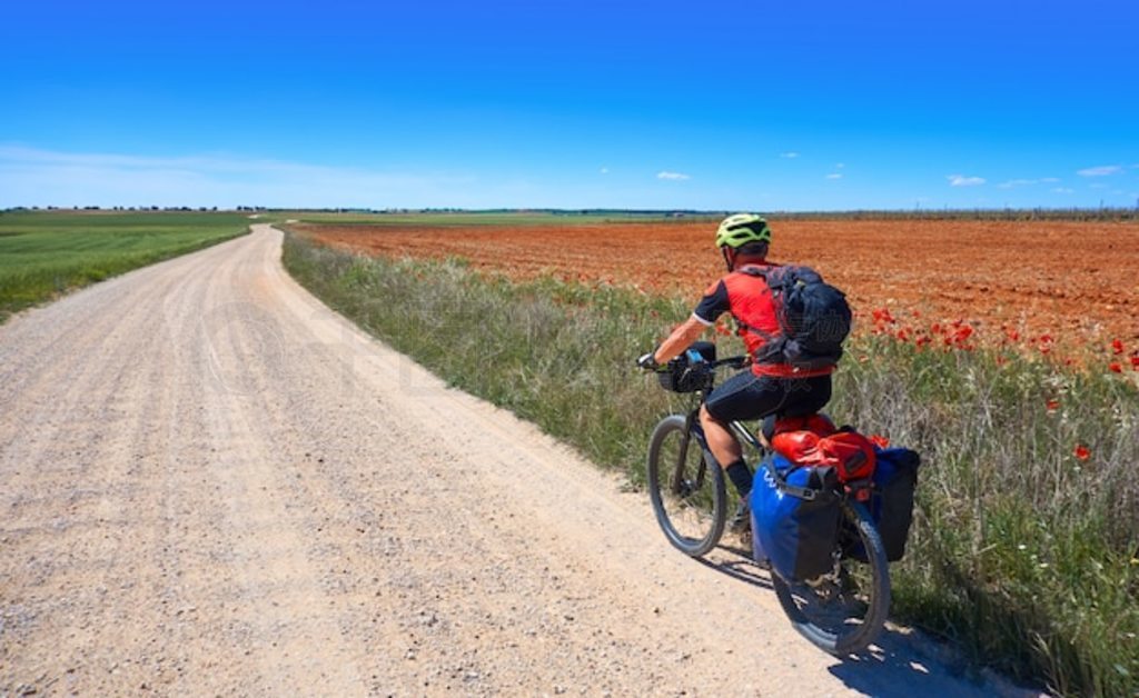 ʥǸ翨ŵ (Camino de Santiago) гĳʥ