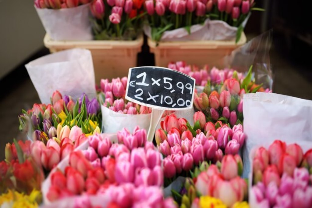 İķ˹صгBloemenmarkt