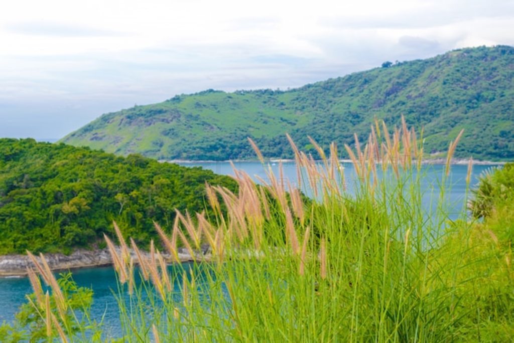 Laem Phrom Thep, ռ