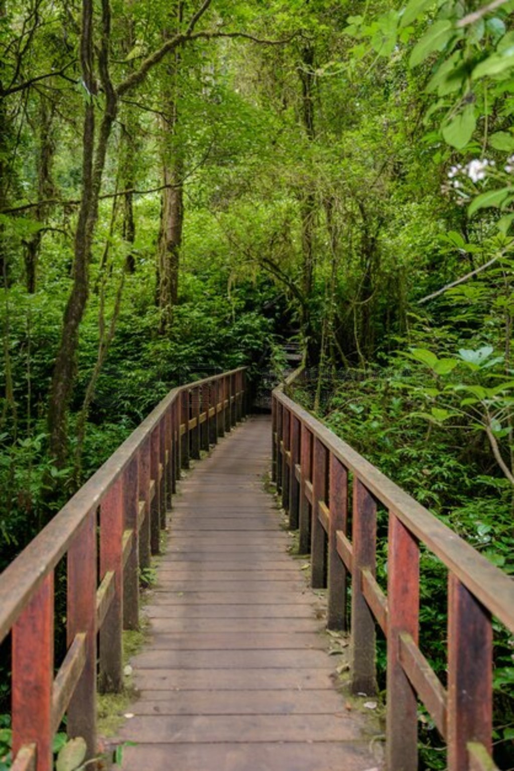 Kew Mae Pan Nature Trail ͽСֱ