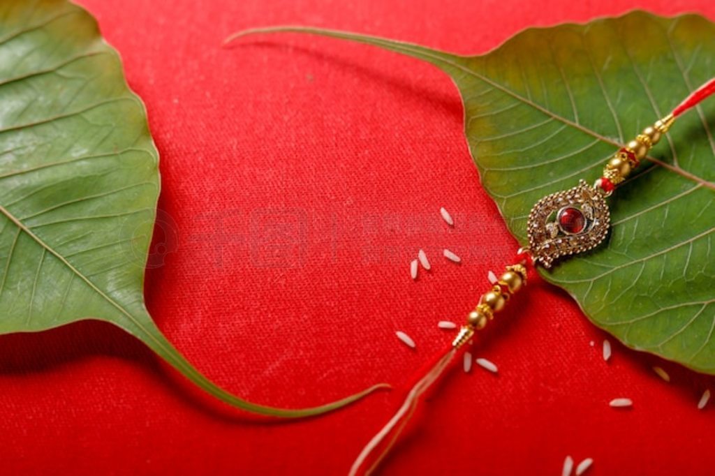 ӡɲ (Raksha Bandhan)