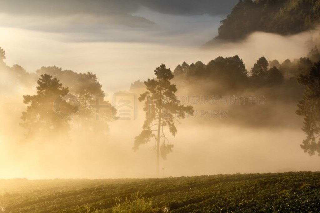 ̩ doi angkhang ɽĳ