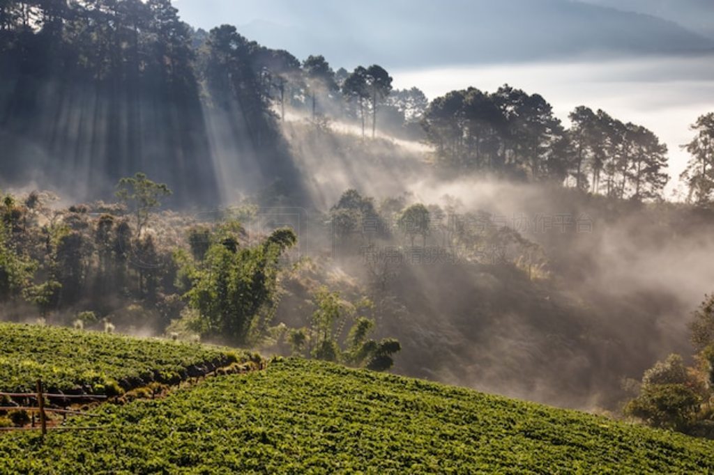 ̩ doi angkhang ɽĳ