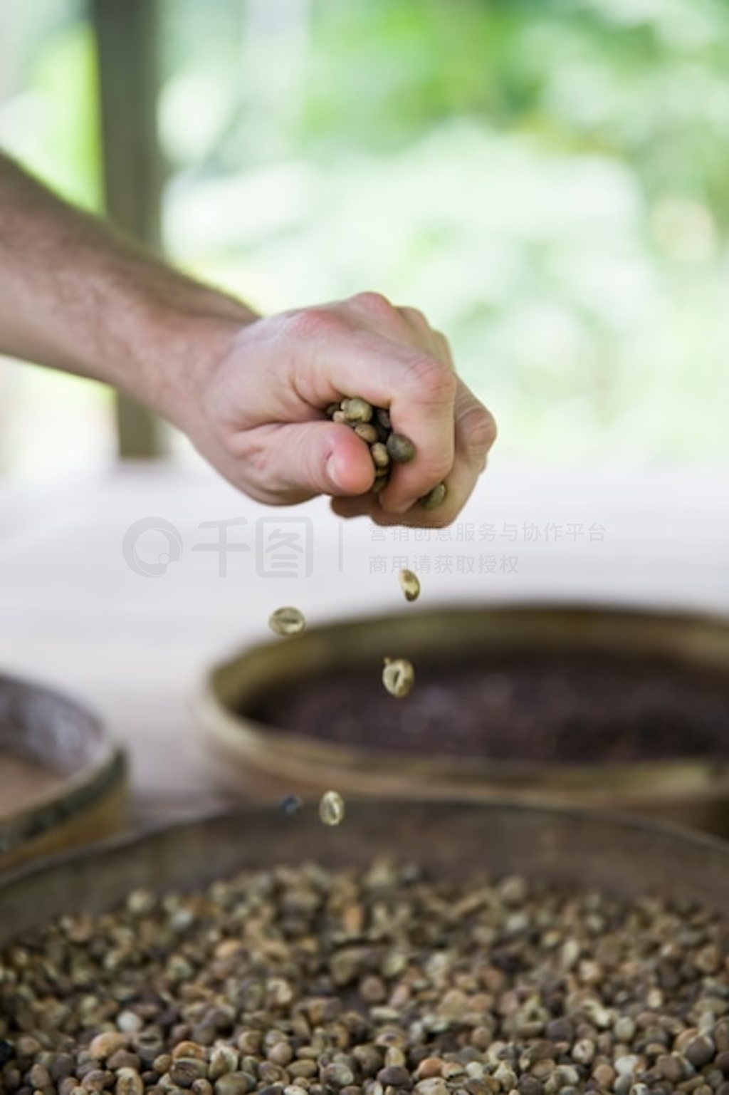 ũ Kopi Luwak ȶ