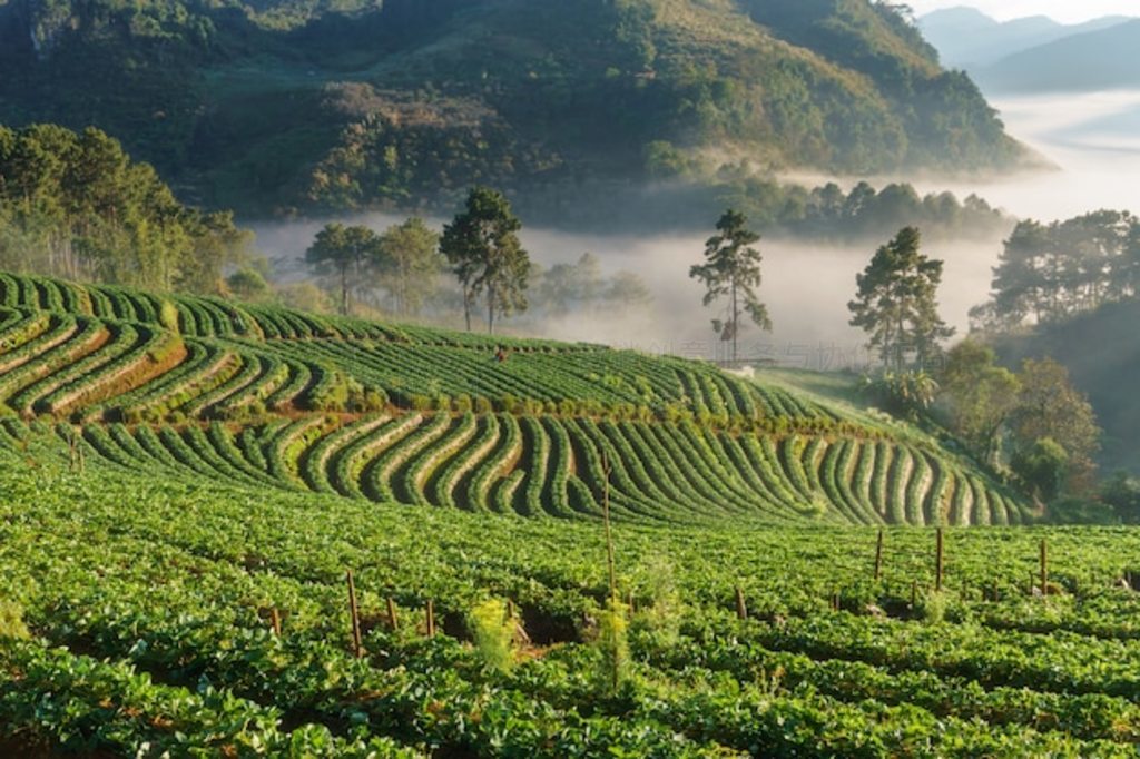 ̩ doi angkhang ɽĳ