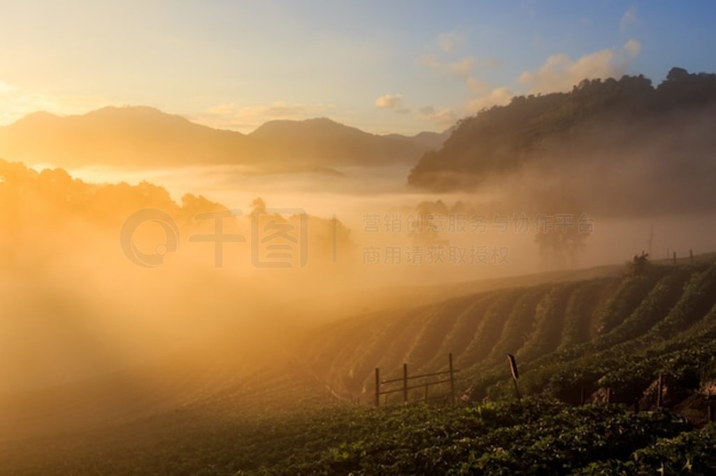 ݮ԰ճ̩ doi angkhang ɽĳ