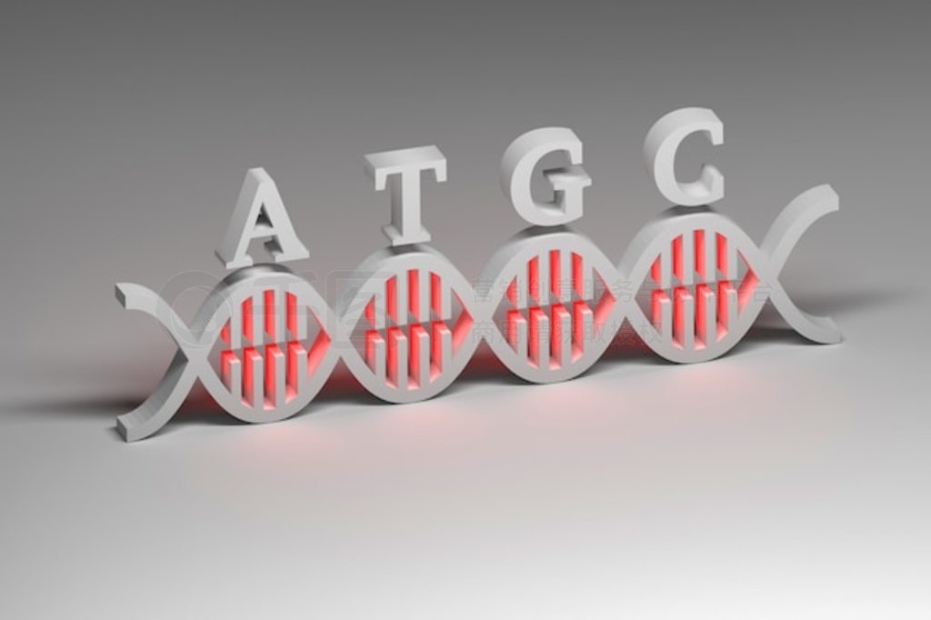 DNA  ATGC Ϊɫ