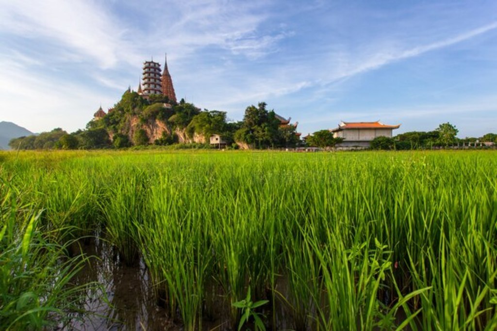 Wat Tham Suea λ̸̩