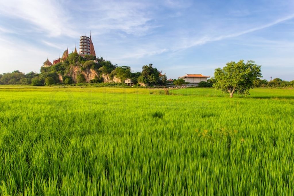 Wat Tham Suea λ̸̩