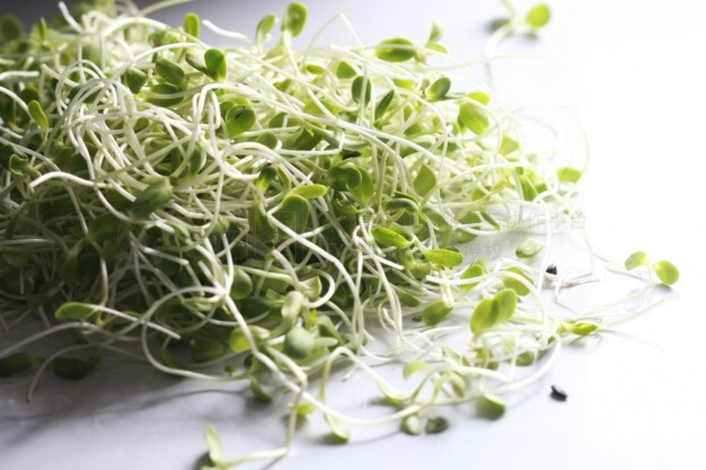 տ磬Microgreen л