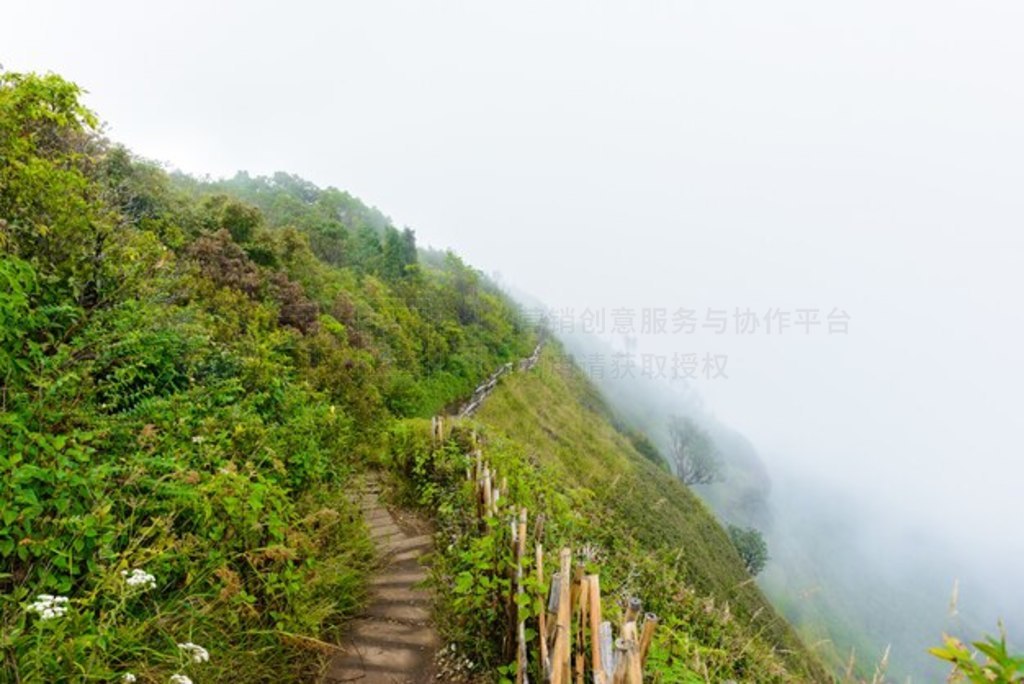 Kew Mae Pan Nature Trail ֵͽС