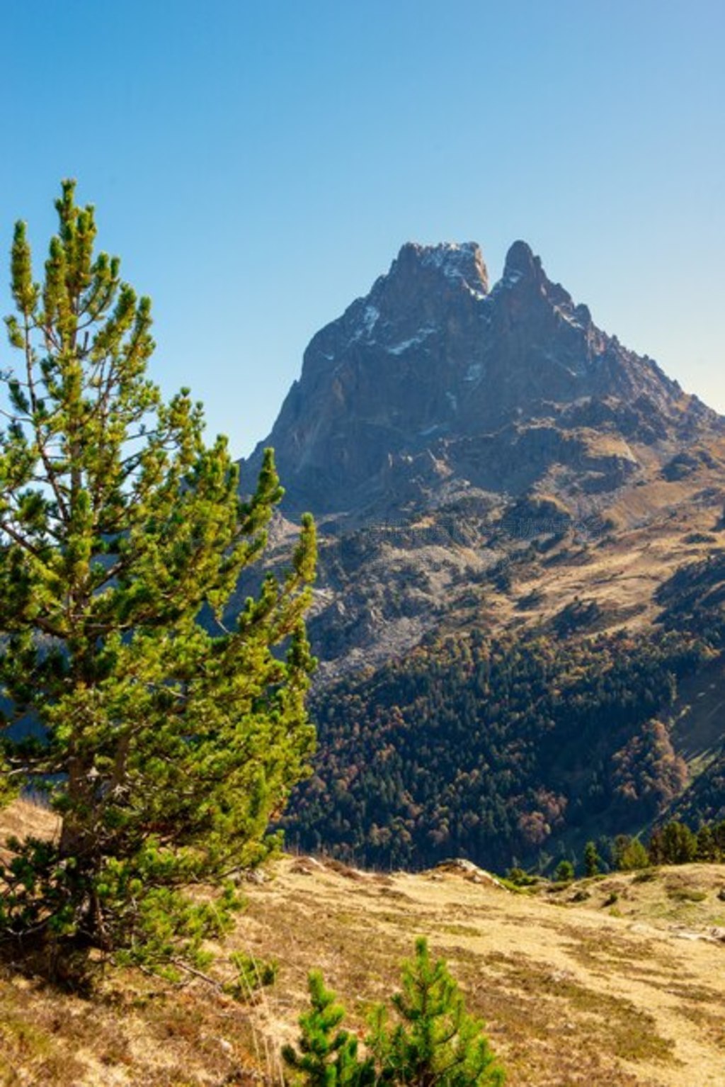 ţ˹ɽ Pic du Midi Ossau 