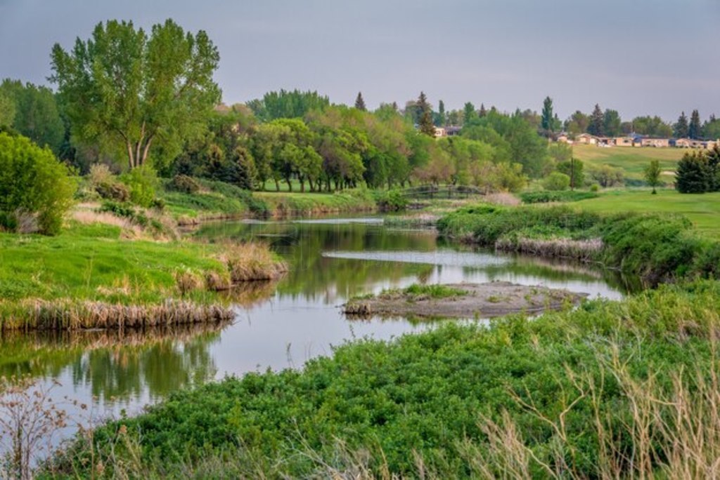 ķ¸߶˹ؿϪ (Swift Current Creek) ϵ