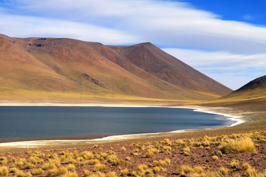 ˹ (Laguna Miniques) ˹ٺ (laguna Miscanti) Աߵĺ