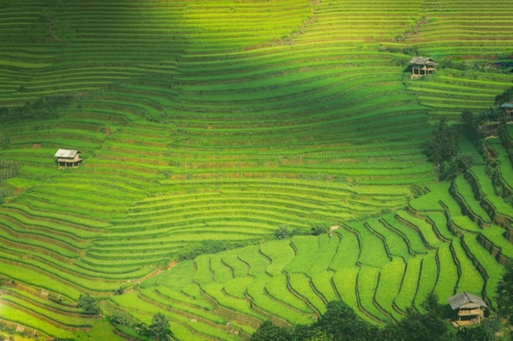 Խ Mu Cang Chai YenBai ϵĵ