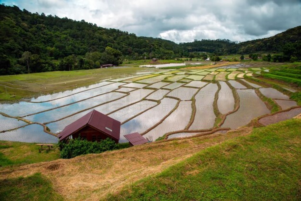 Mae Klang Luang λ̩ˮ̩ Chom Thong ĵ