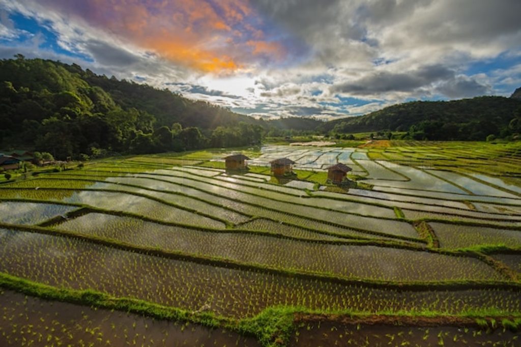 Mae Klang Luang λ̩ˮ̩ Chom Thong ĵ