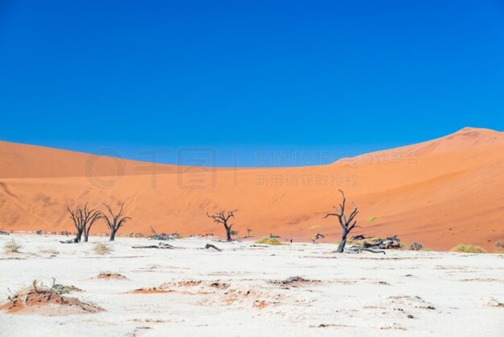 羰˿˹ (Sossusvlei)  (Deadvlei)֯ĽϻΧΰɳ