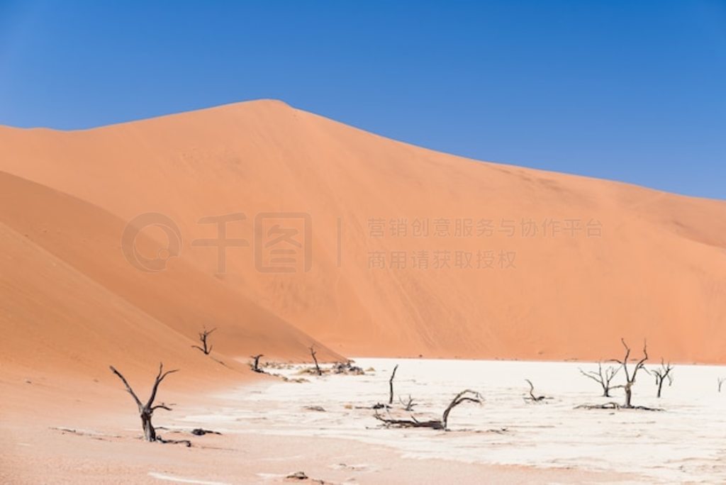 羰˹ (Sossusvlei)  (Deadvlei) ճб״ϻΧΰɳ