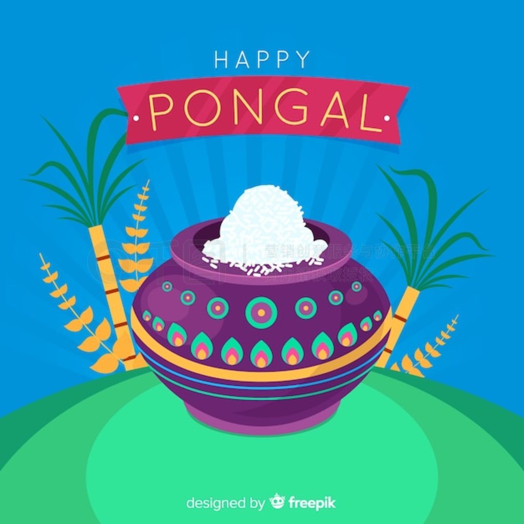 ƽ pongal 