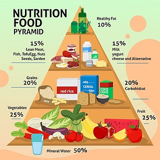 英语食物金字塔图片