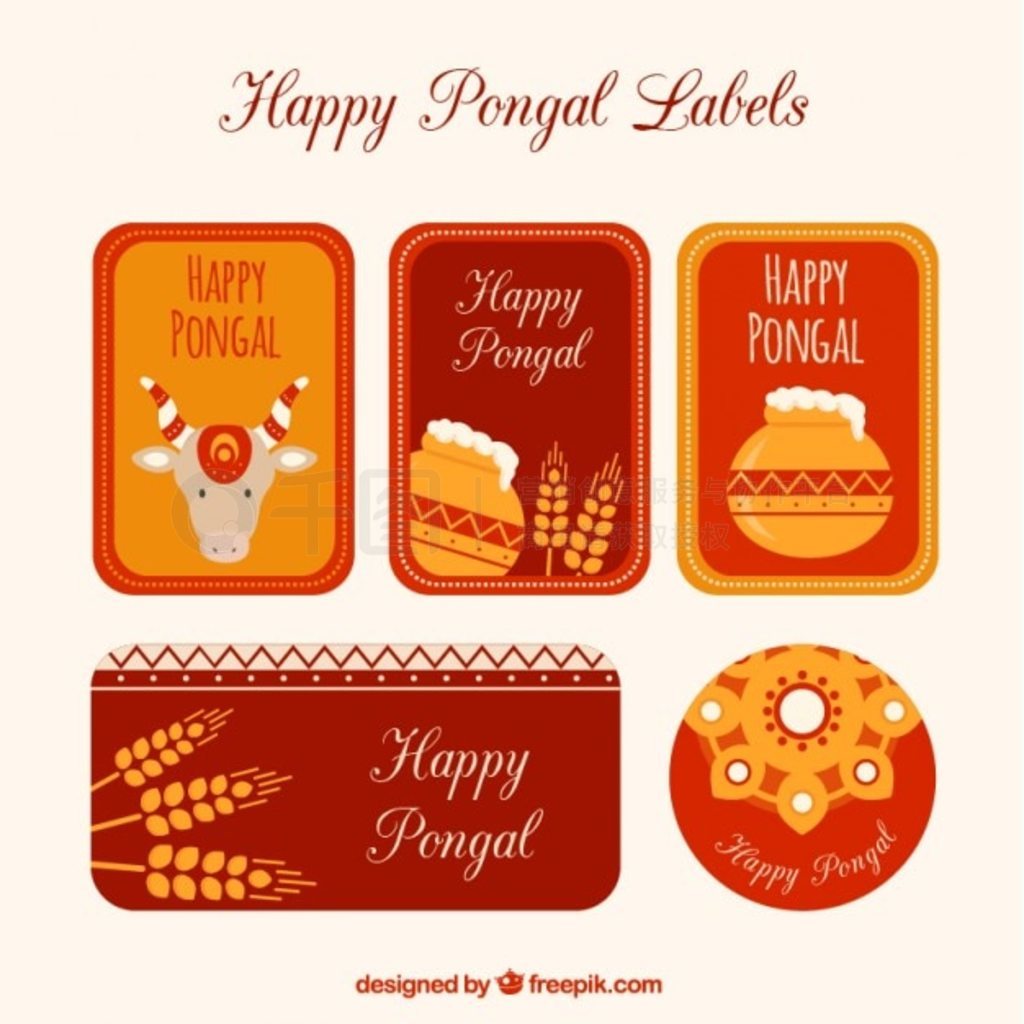  Pongal ǩ