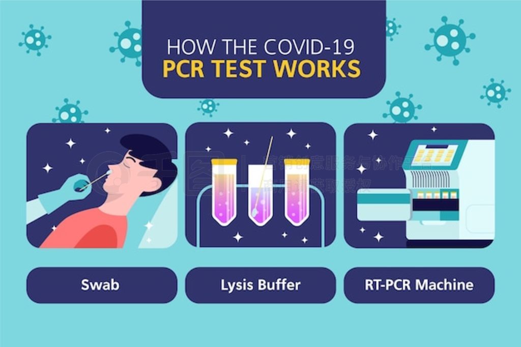 pcr ԵĹԭϢͼϢͼ