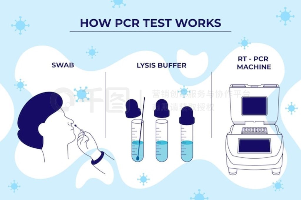 pcr ԵĹԭ