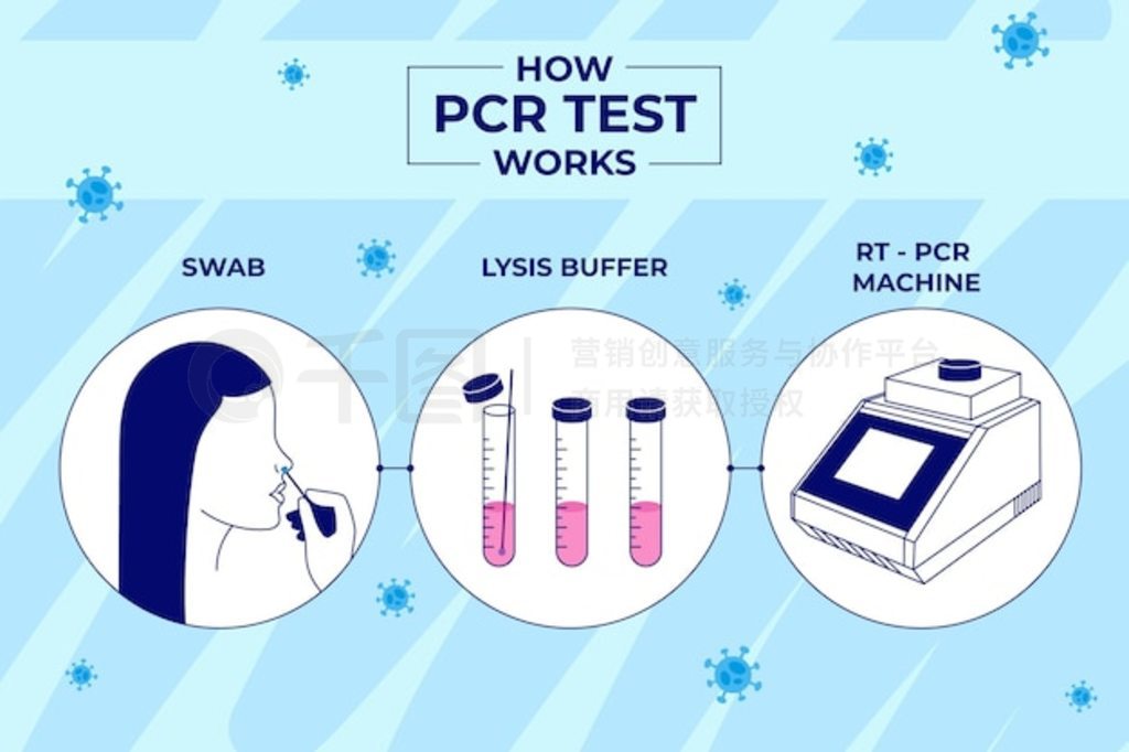 pcr ԵĹԭ