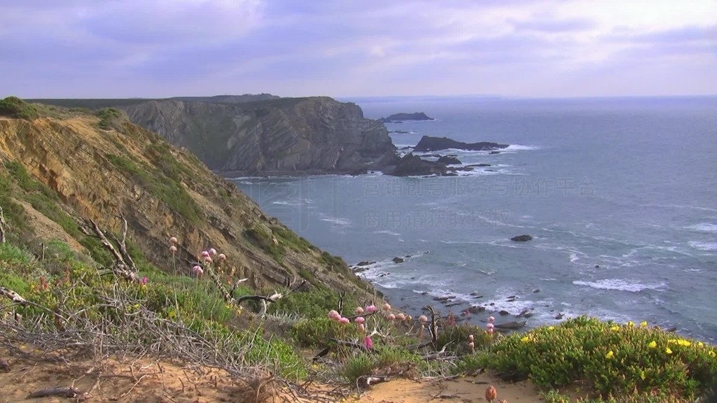 Blick auf steile kahle Klippen am MeerԱBlumen zwischenݽɫWiese und verdorrter Erde˹