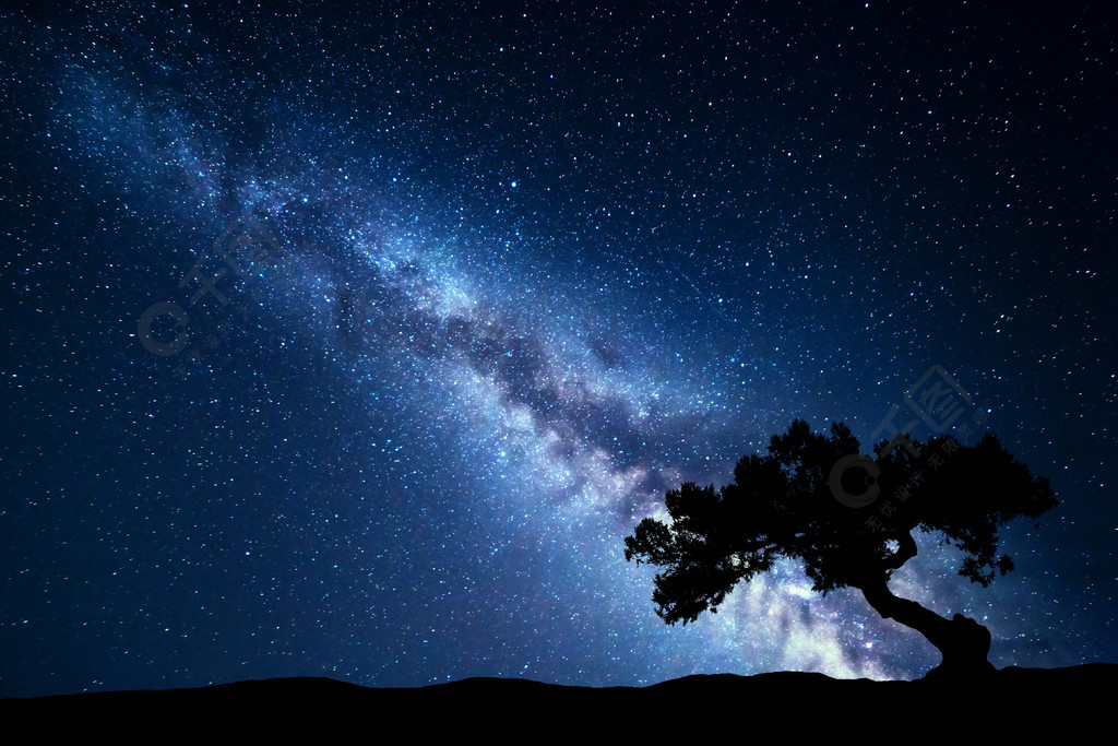 反對銀河系的樹夜景夜晚色彩斑scenery的風景在夏天的星空美麗的宇宙