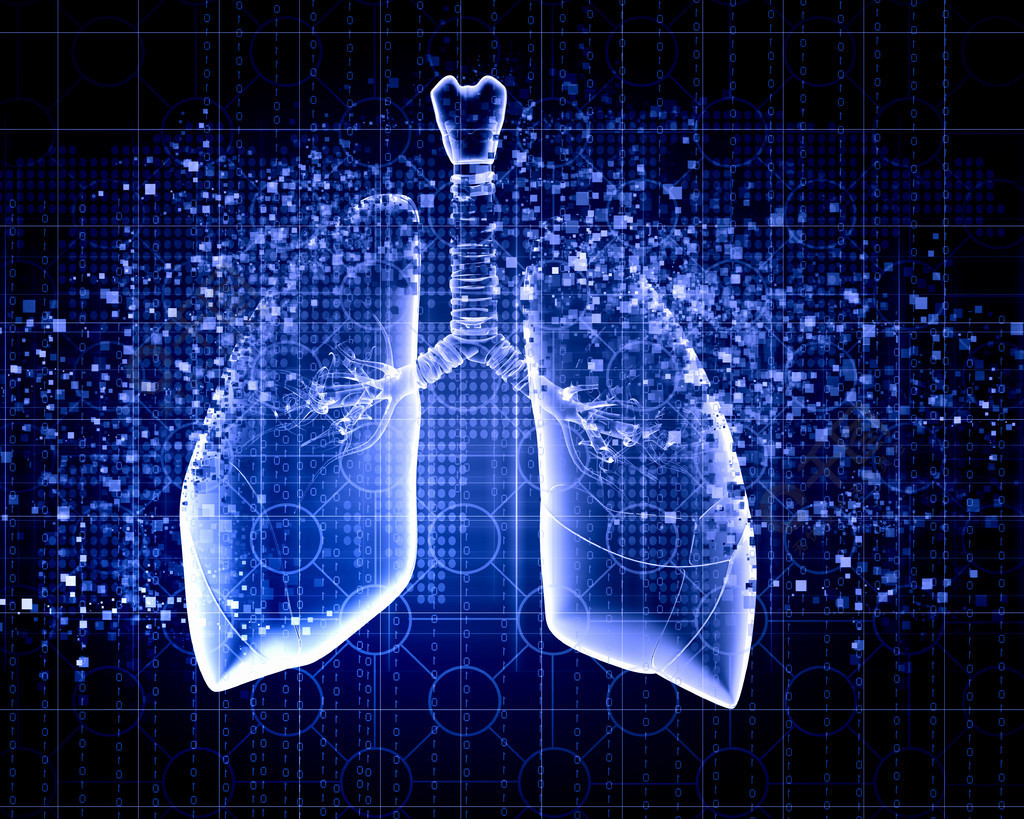 肺部彩图主题照片图片
