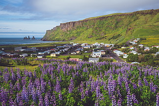 Vik美丽的镇我Myrdal在冰岛在夏天Vik村是冰岛最<i>南</i>端的村庄，位于雷克雅未克<i>东</i><i>南</i>约180公里处的环形公路上