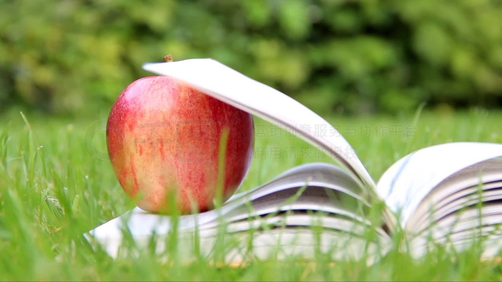 ƻڻ԰һţڴҳҳ϶ein Apfel liegt auf einem Buch im Garten und der Windװbeim Wehen einig