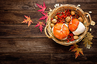 秋季背景与叶子和<i>南</i>瓜，感恩节和万圣节贺卡
