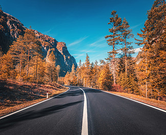 路在日落的秋天森林里在意大利美丽的山区道路，橙色发辫，草，高岩，蓝色的天空环境美化与空的柏油路通过秋天的森林旅游背景