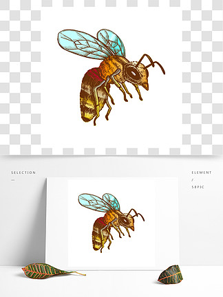 飞行蜂蜜蜂昆虫会<i>集</i>花蜜传染媒介与翼和感觉的蜂飞行动物蜜蜂自然授粉花和树更好的植物彩色插图彩色飞行蜜蜂昆虫采<i>集</i>花蜜矢量