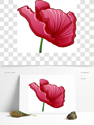红色的罂粟图标在白色背景网络设计的红色鸦片传染媒介象动画片隔绝的卡通风格的红色罂粟图标