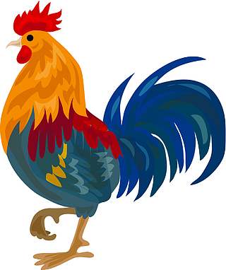 在白色背景网络设计的传染媒介象动画片隔绝的卡通风格的农场公鸡图标
