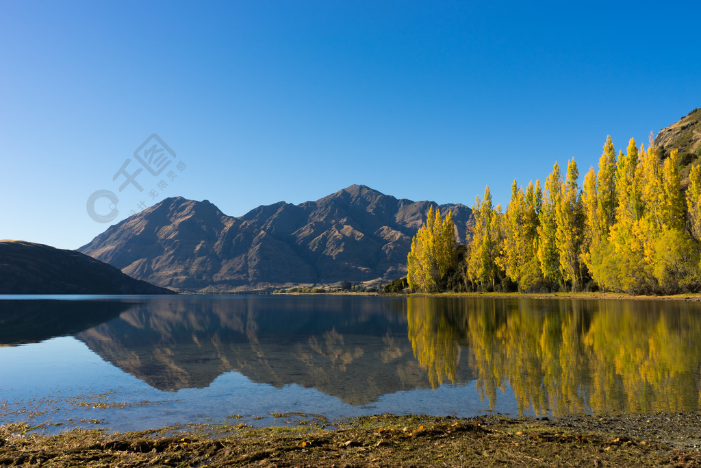 如詩如畫的風景新西蘭阿爾卑斯山和湖泊的自然景觀