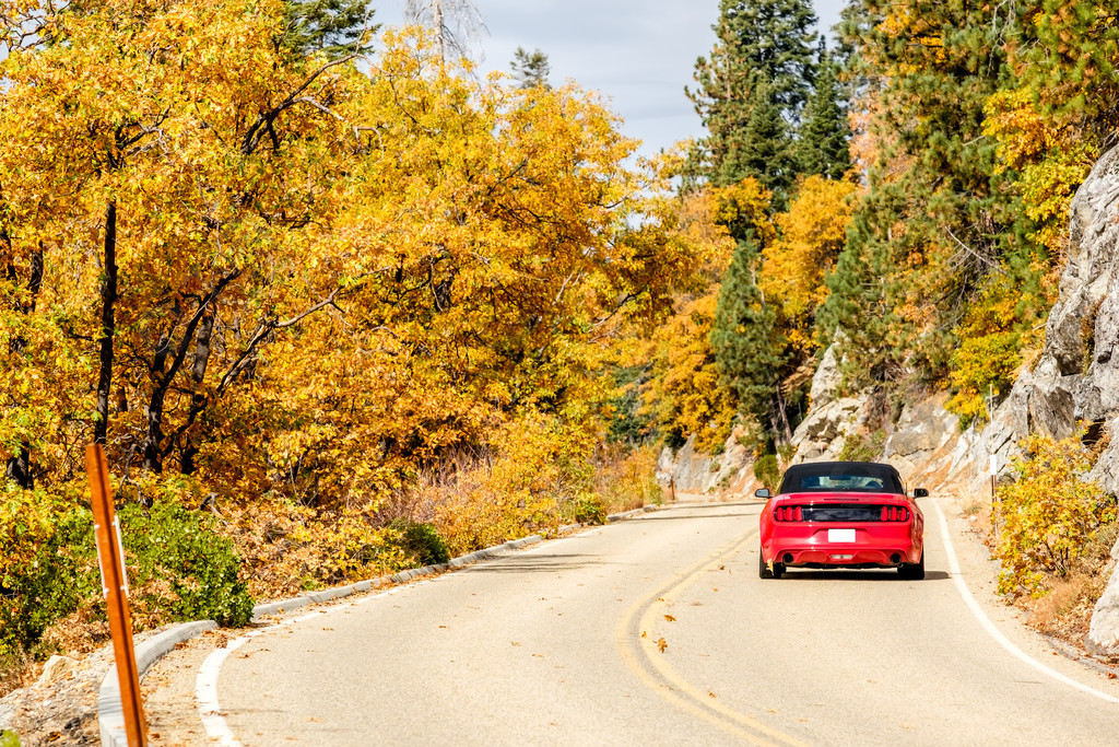 秋天,美国加州红杉国家公园的红色敞篷车跑车美国加利福尼亚自然风景